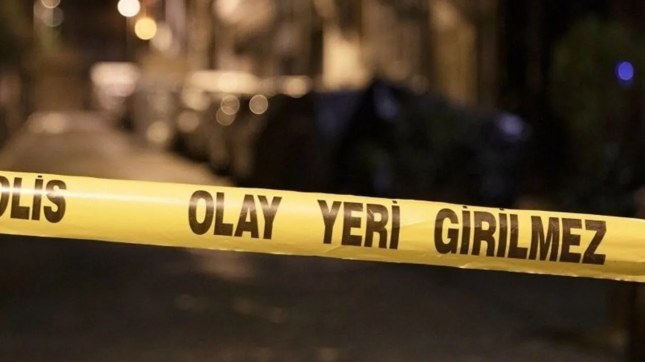 Türkiye’de en çok silahlı olayın yaşandığı iller ve bölgeler açıklandı: En sakin şehir Erzincan 11