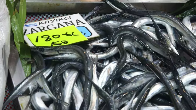 Çanakkale'de 'denizin prensi' lüferin kilosu 900 TL oldu 11