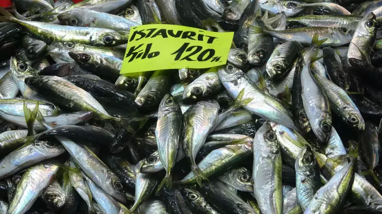 Çanakkale'de 'denizin prensi' lüferin kilosu 900 TL oldu 5