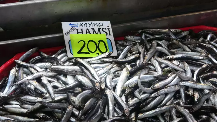 Çanakkale'de 'denizin prensi' lüferin kilosu 900 TL oldu 6