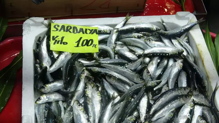 Çanakkale'de 'denizin prensi' lüferin kilosu 900 TL oldu 7