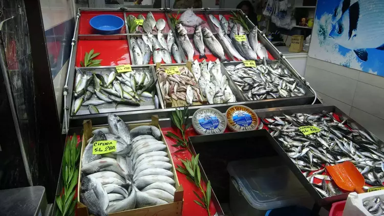 Çanakkale'de 'denizin prensi' lüferin kilosu 900 TL oldu 9