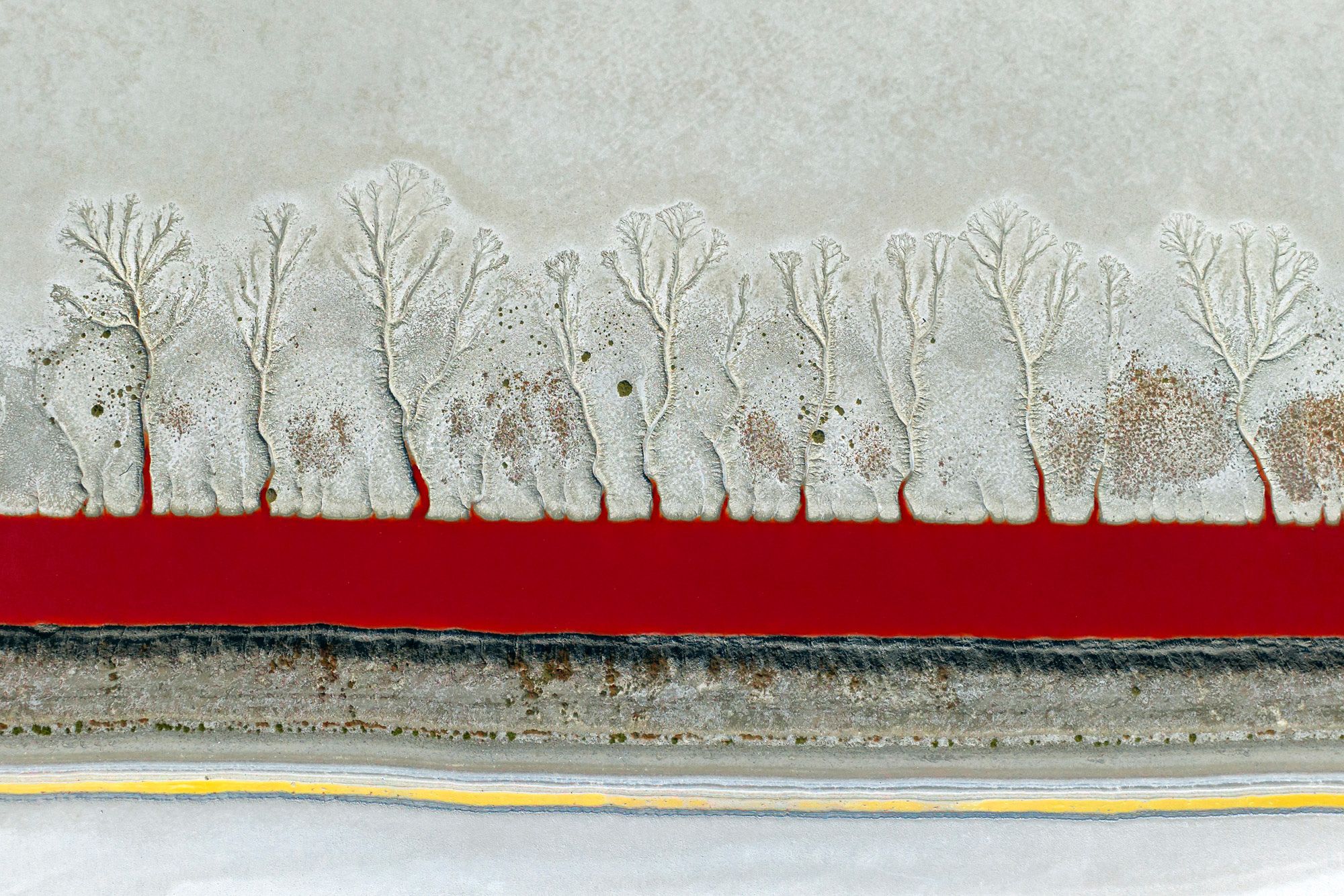 Sony Dünya Fotoğraf Ödülleri 2024: Yılın en iyi fotoğrafçıları arasında Türk isim de var 3