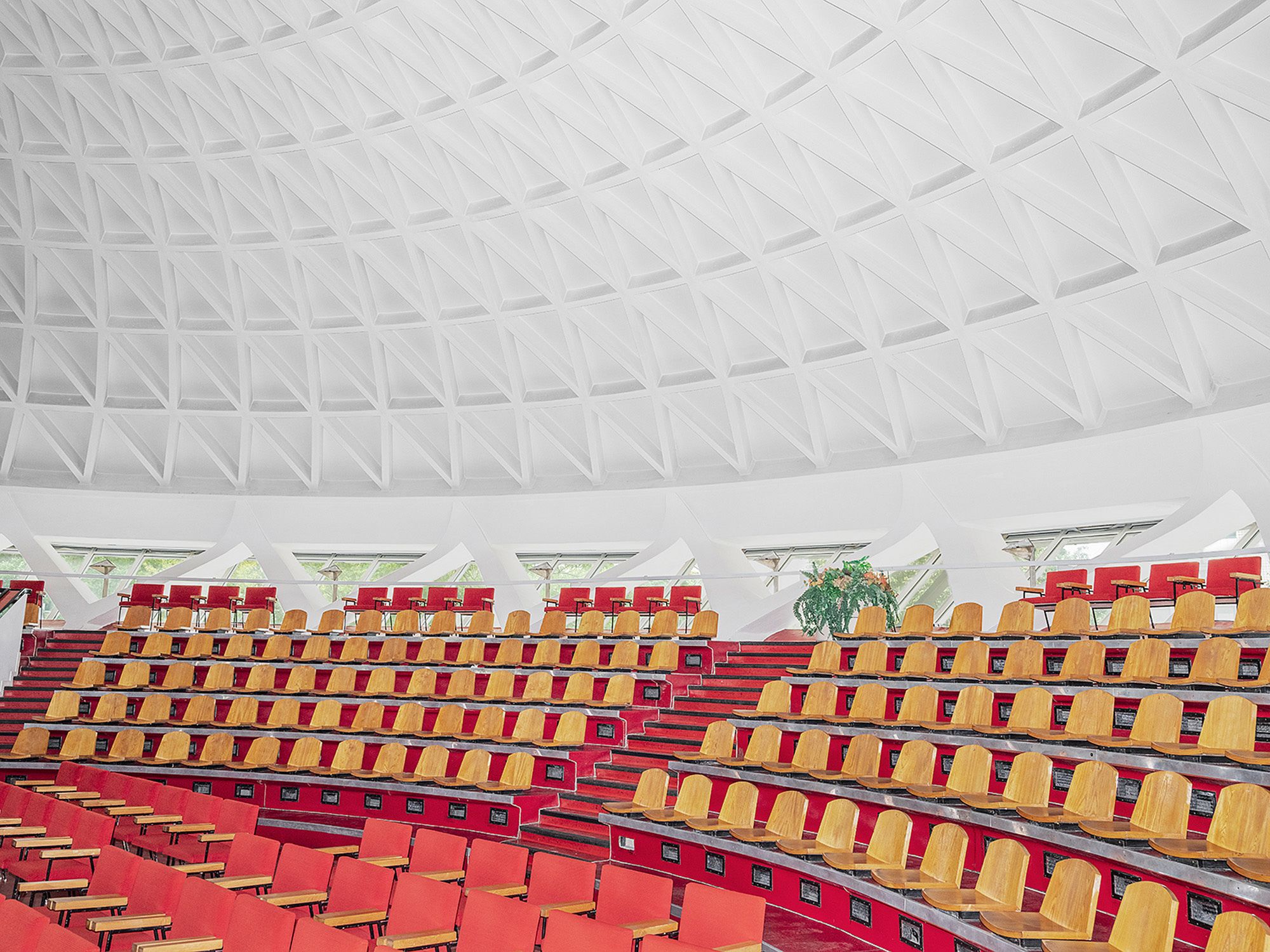 Sony Dünya Fotoğraf Ödülleri 2024: Yılın en iyi fotoğrafçıları arasında Türk isim de var 2