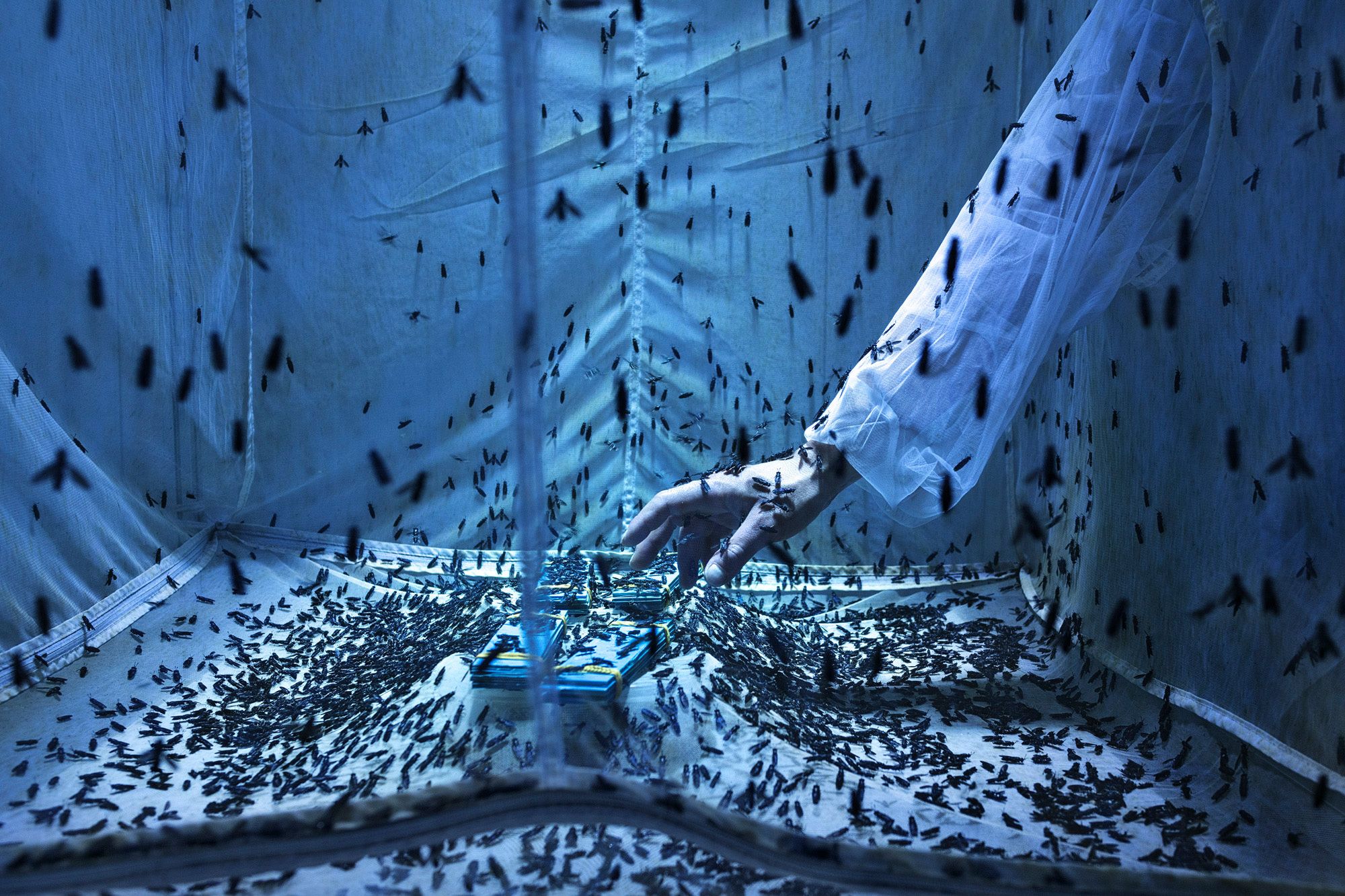 Sony Dünya Fotoğraf Ödülleri 2024: Yılın en iyi fotoğrafçıları arasında Türk isim de var 9