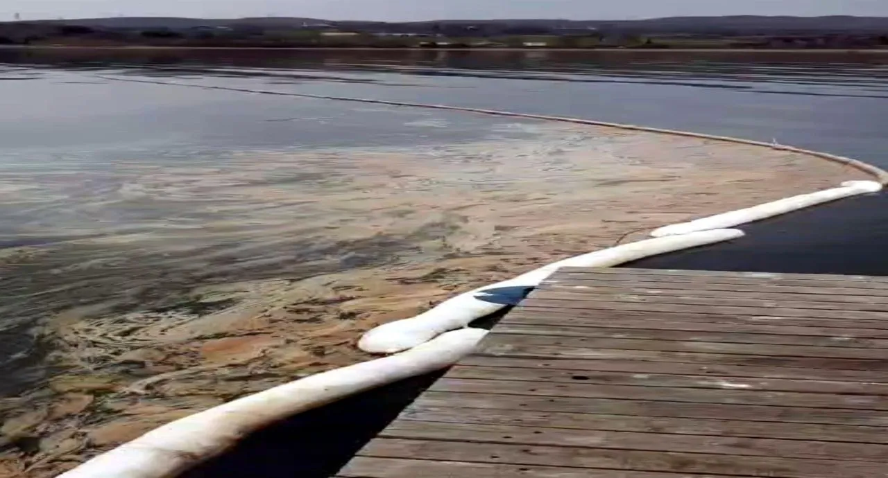 NATO boru hattı patladı, Sapanca Gölü'ne akaryakıt sızdı 2