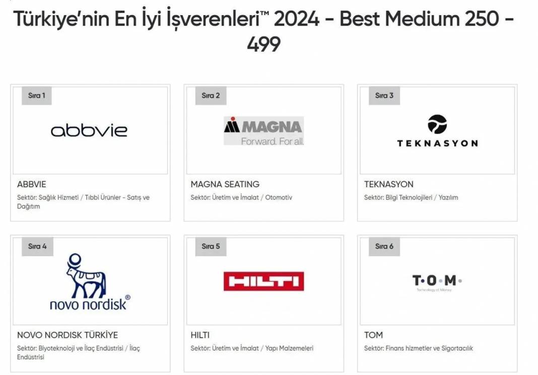 Çalışanları değerlendirdi: İşte Türkiye'nin en iyi şirketleri! 6