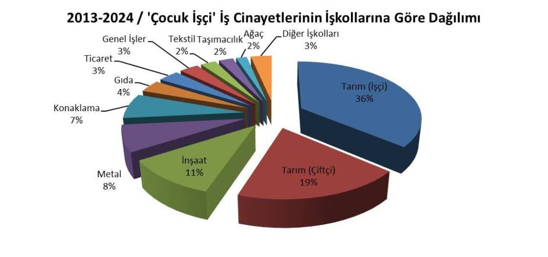 Çocuk işçiliği ile mücadele günü: 11 yılda en az 695 çocuk işçi hayatını kaybetti 3