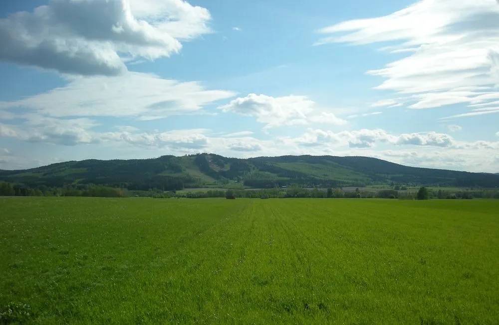 Bakanlık duyurdu: 51 ilde arsa satışı başladı 2