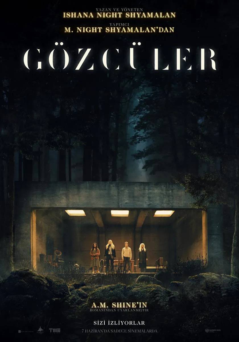IMDb'ye göre en popüler 20 film 14