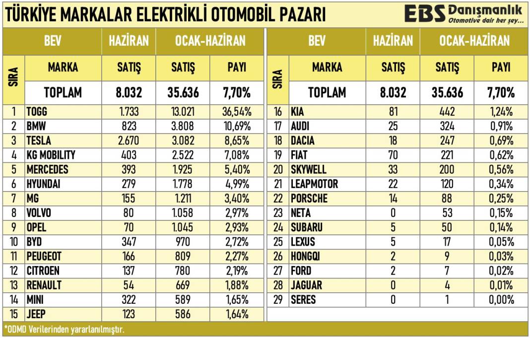 Türkiye'de trafiğe kayıtlı elektrikli araç sayısı arttı: İşte elektrikli araçlardaki son durum 6