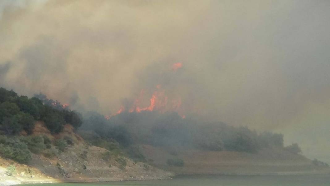 Çanakkale'de orman yangını: Havadan karadan müdahale ediliyor 10