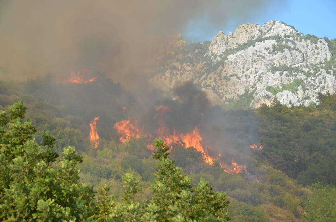 Antalya'daki orman yangınında 65 hektar kül oldu 2