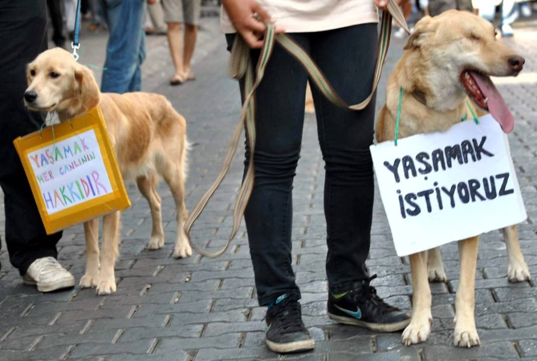 CHP'li belediyelerden zincirleme sosyal medya paylaşımı: "Katliama ortak olmayacağız" 2