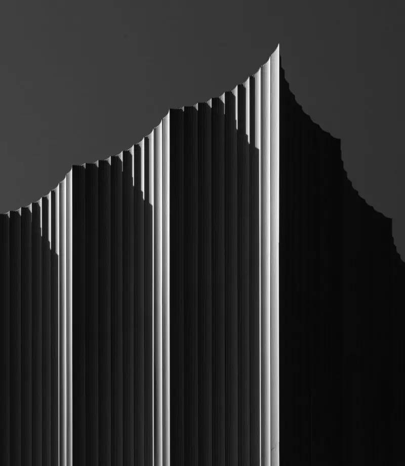 Fotoğraf sanatında gölge oyunları: Dünya çapında ilham veren seçkiler... 16