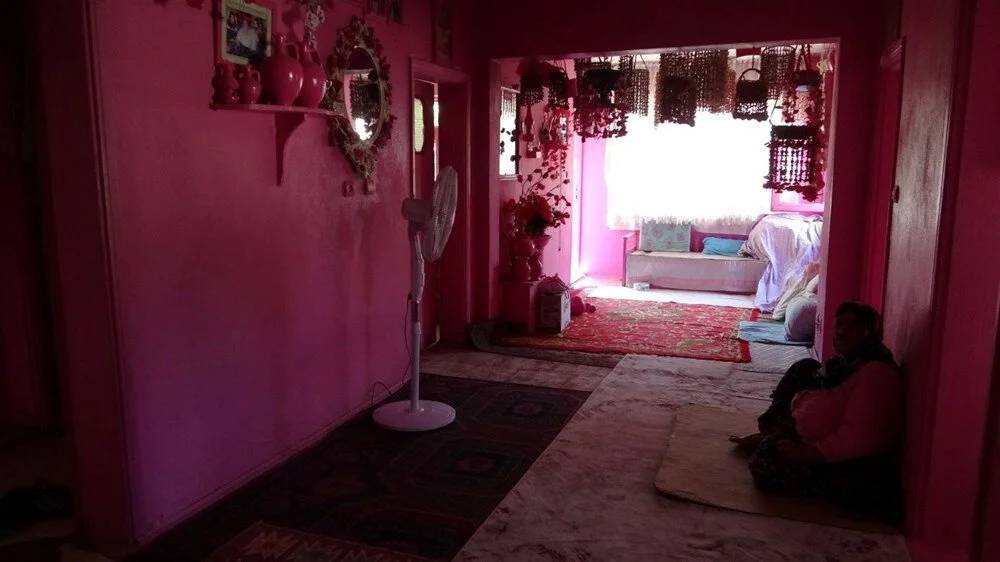 75 yaşındaki "Barbie Teyze"nin pembe hayatı: Elimden gelse çocuklarımı pembeye boyayacağım 15