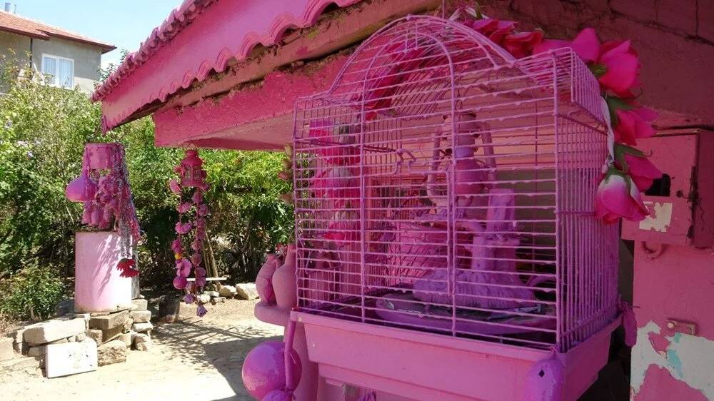 75 yaşındaki "Barbie Teyze"nin pembe hayatı: Elimden gelse çocuklarımı pembeye boyayacağım 2