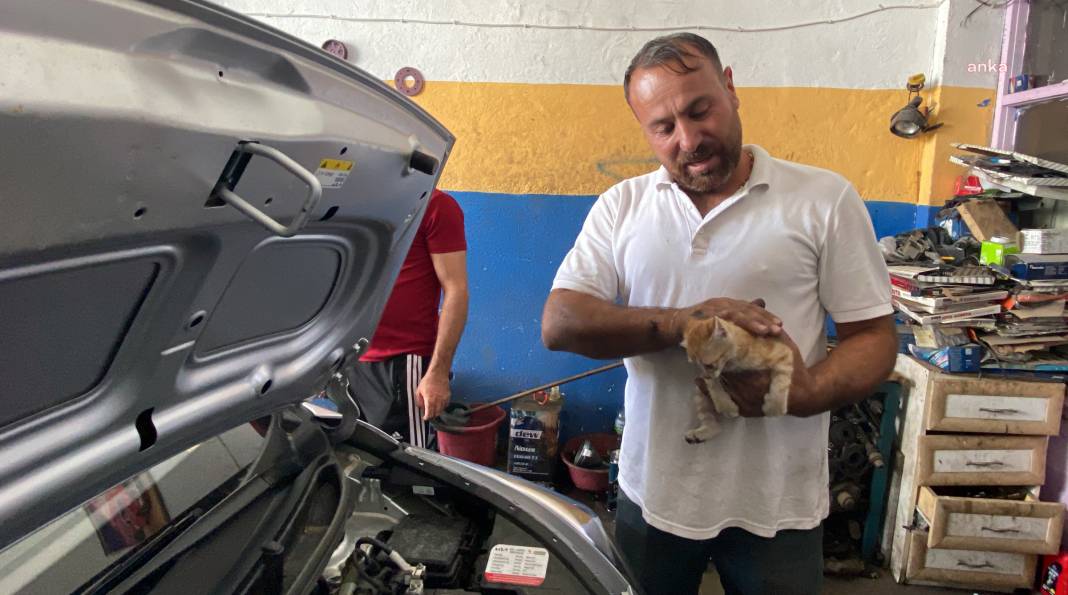 Araç motoruna sıkışan kedi sanayici tarafından sahiplenildi 4