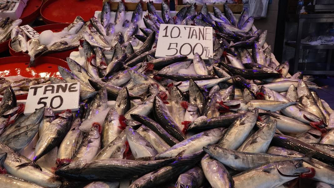 Karadeniz'de av sezonu bereketli başladı; tezgahlar şenlendi 4