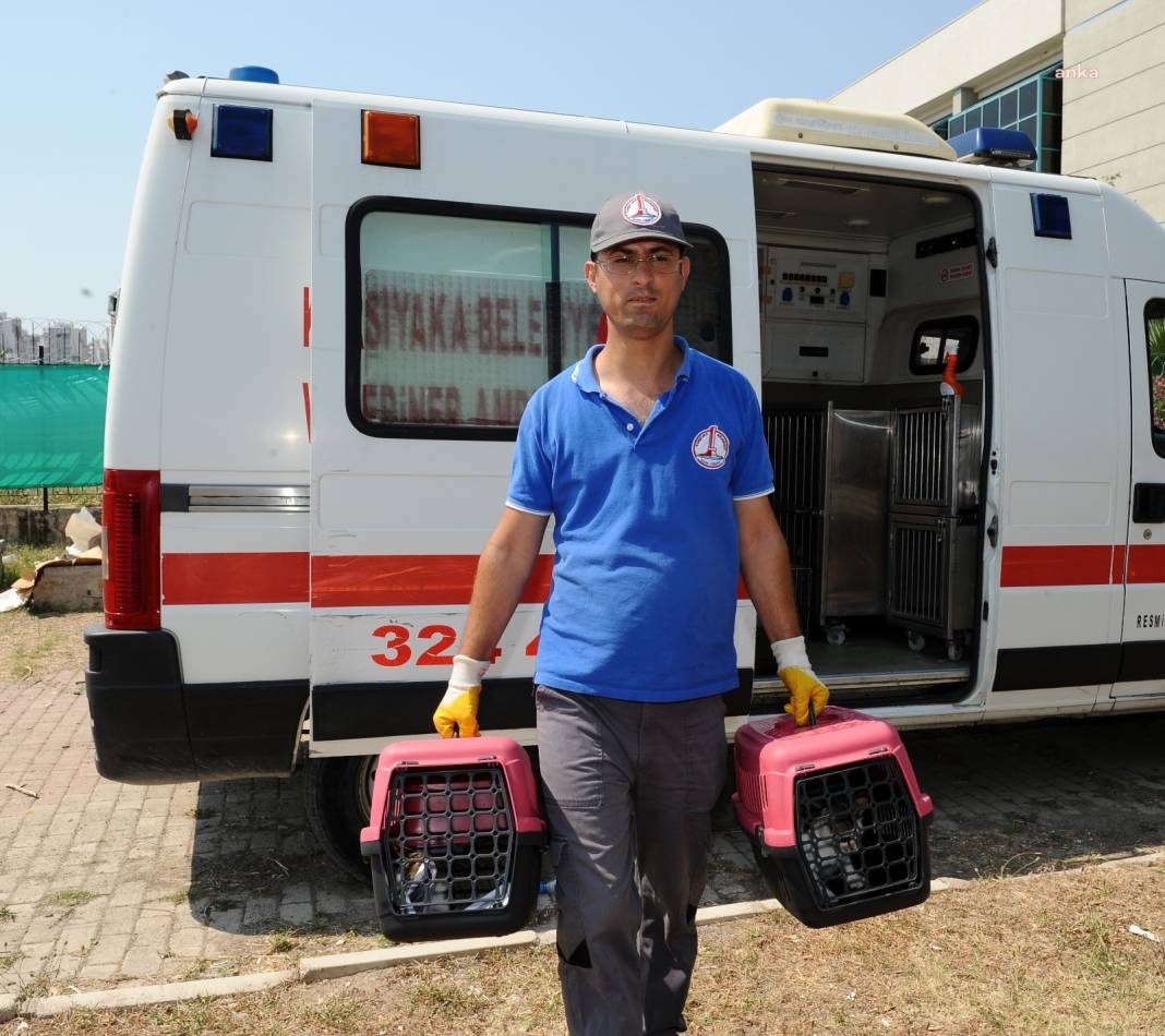 Sokak hayvanları için dijital adım: Karşıyaka Belediyesi'nden online randevu sistemi 2