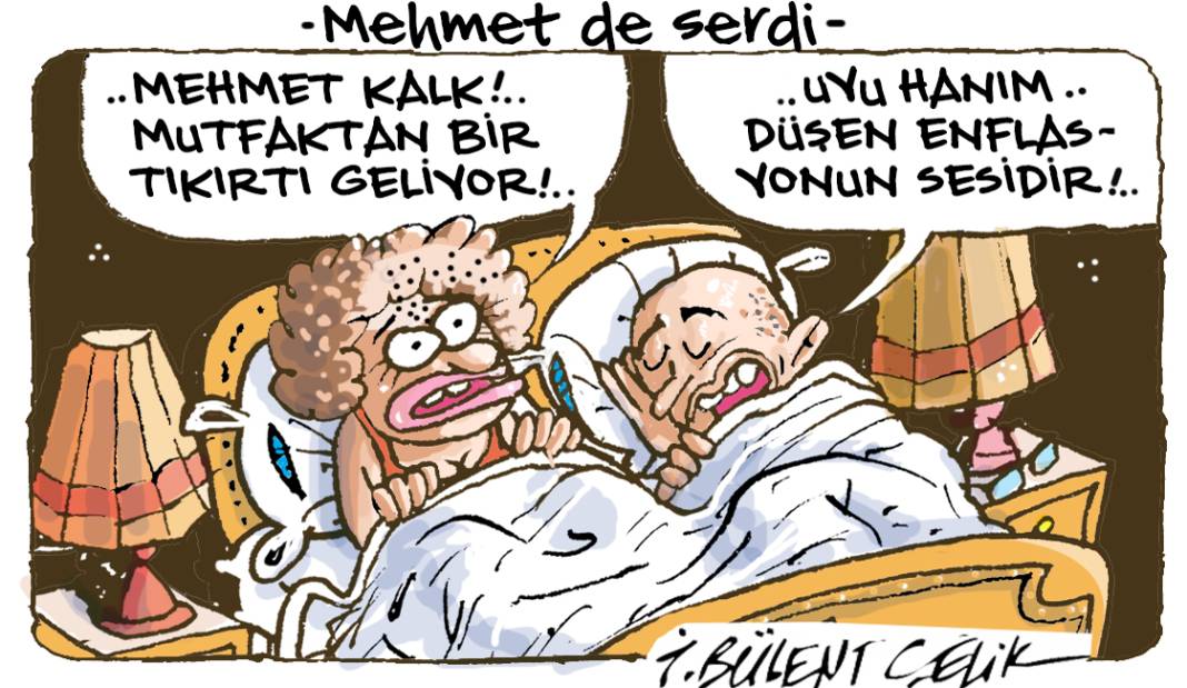 İ. Bülent Çelik'in 29 Kasım 2024 tarihli karikatürü 1