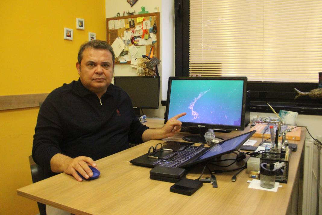 Marmara Denizi'nde müsilaj sorunu devam ediyor: Bilim insanları uyarıyor 7