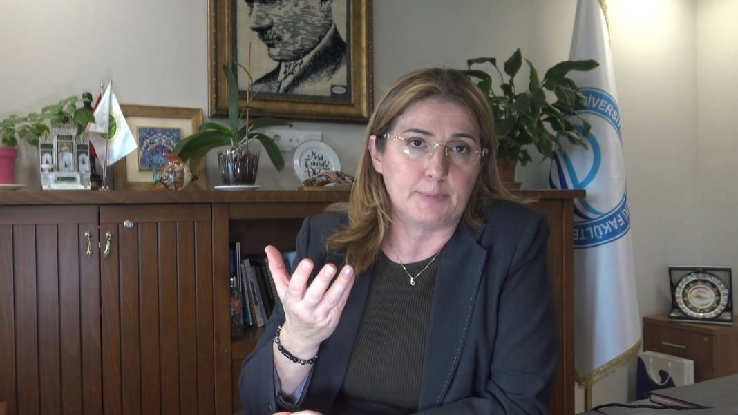 Marmara Denizi'nde müsilaj sorunu devam ediyor: Bilim insanları uyarıyor 4