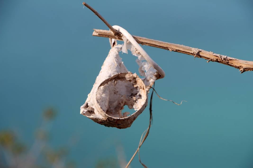 Plastik kirliliği küresel tehdit olmaya devam ediyor 5