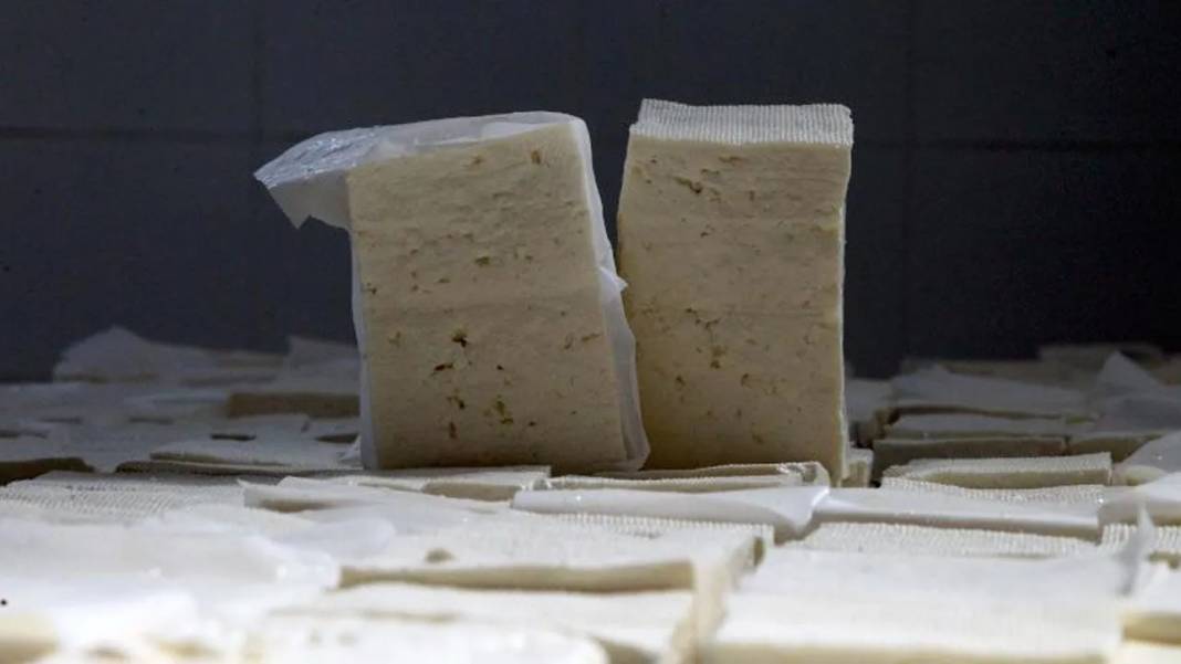Peynirde büyük tehlike! İşte peynirde taklit ve tağşiş yapan markaların tam listesi 2