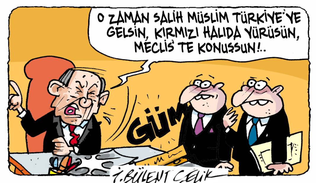 İ. Bülent Çelik'in 17 Aralık 2024 tarihli karikatürü 1