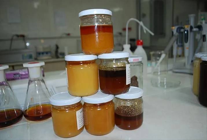 Bal diye şeker mi yiyoruz? İşte sahte bal üreten 11 marka! 2