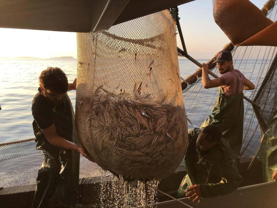 Deniz suyu sıcak kaldı, Marmara’da lüfer bekleneni vermedi 3