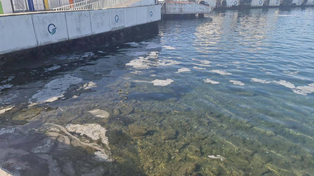 Deniz suyu sıcak kaldı, Marmara’da lüfer bekleneni vermedi 2