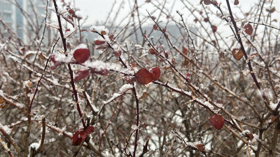 Sivas’ta yılın ilk karı: Kent beyaza büründü 4