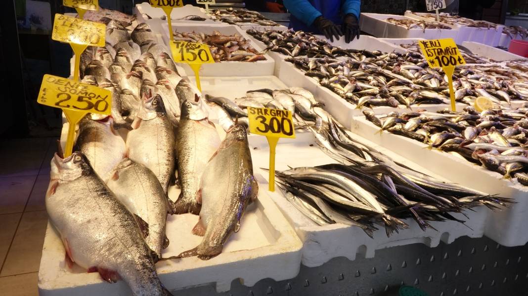 Karadeniz’de balık bereketi: Palamut doyurdu, sırada hamsi var 6