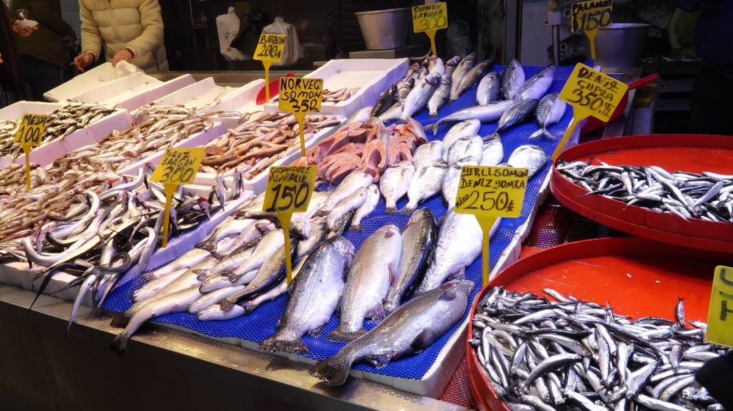 Karadeniz’de balık bereketi: Palamut doyurdu, sırada hamsi var 4