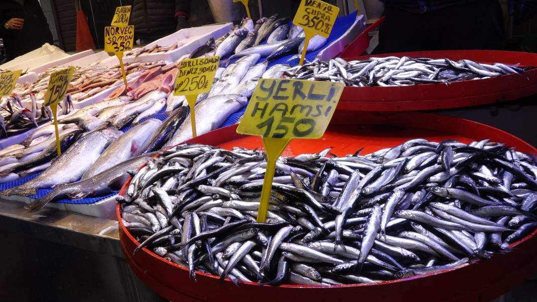 Karadeniz’de balık bereketi: Palamut doyurdu, sırada hamsi var 7