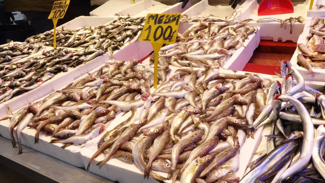 Karadeniz’de balık bereketi: Palamut doyurdu, sırada hamsi var 3