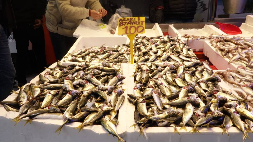 Karadeniz’de balık bereketi: Palamut doyurdu, sırada hamsi var 1