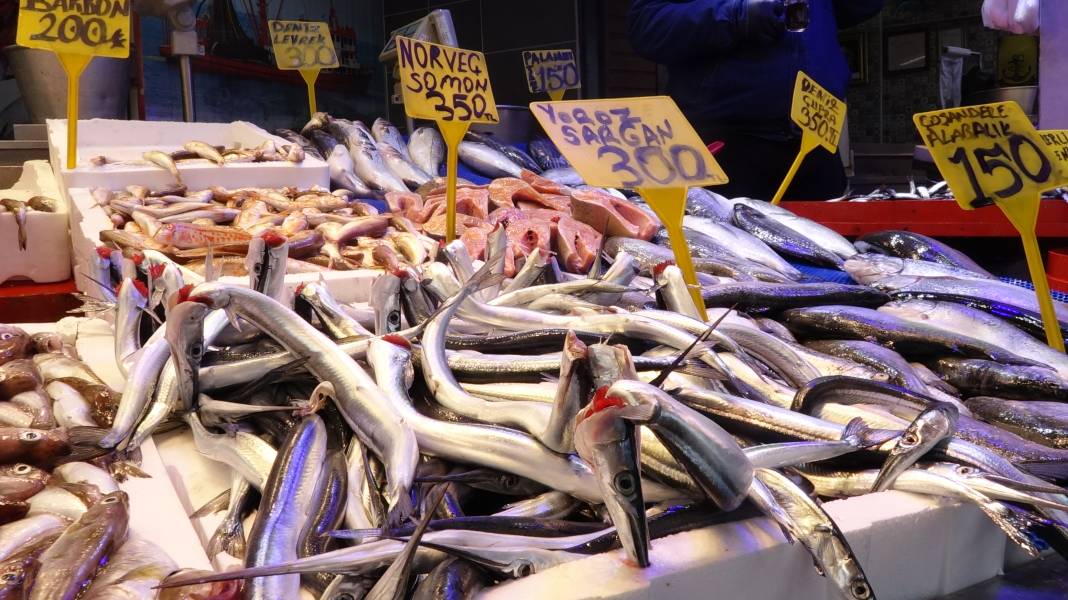 Karadeniz’de balık bereketi: Palamut doyurdu, sırada hamsi var 5