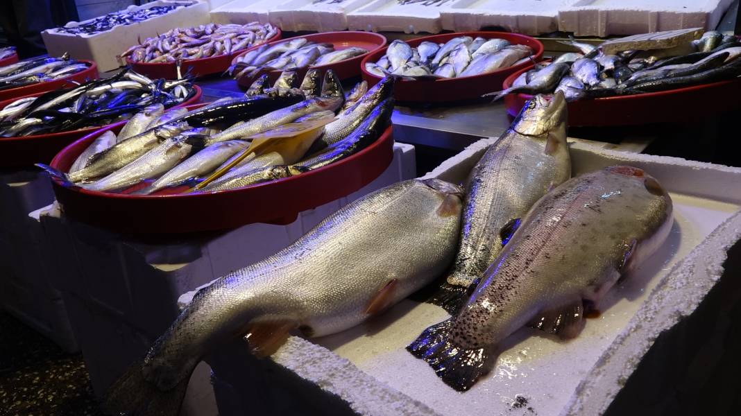 Karadeniz’de balık bereketi: Palamut doyurdu, sırada hamsi var 2