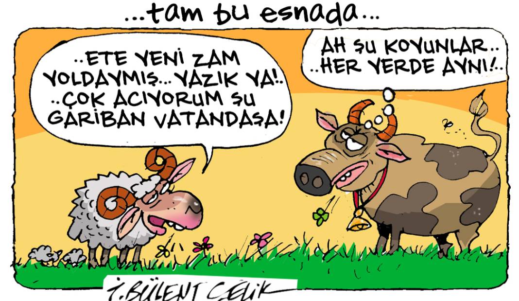 İ. Bülent Çelik'in 13 Şubat 2025 tarihli karikatürü 1