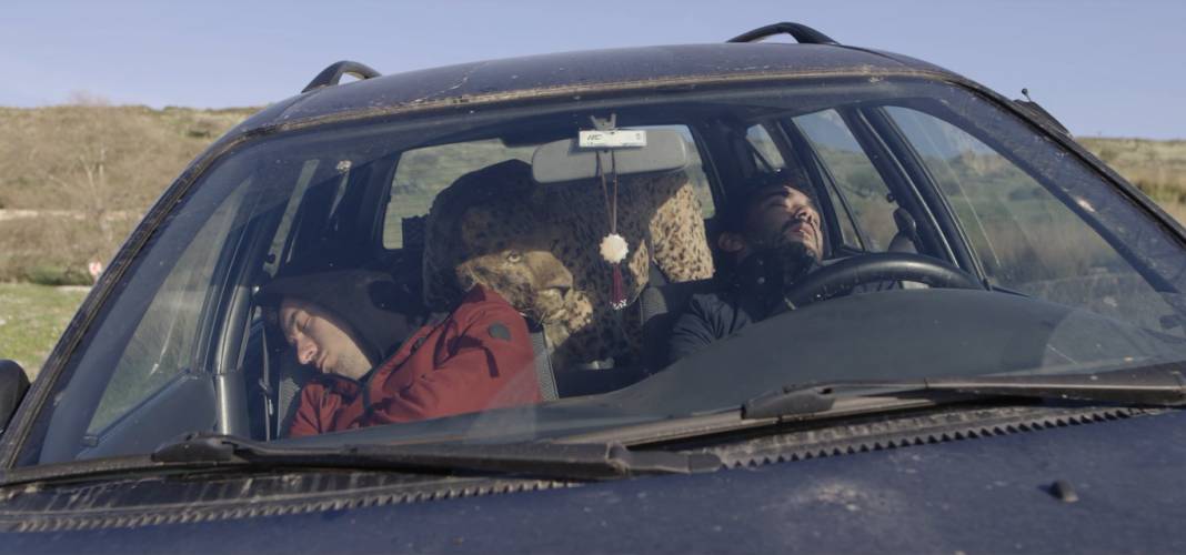 Mubi ağustos seçkisiyle çarpıcı öykülere davet ediyor 4