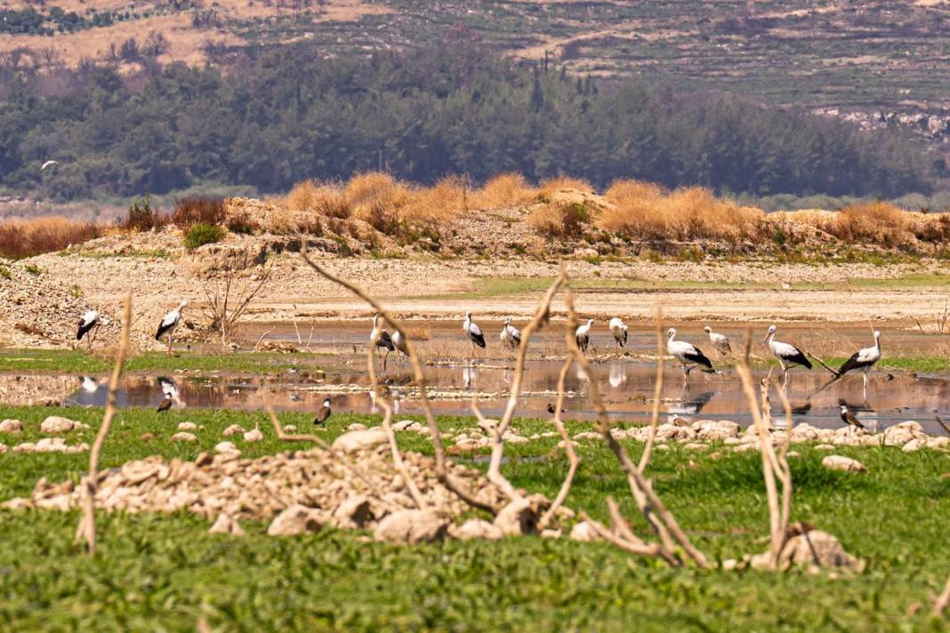 Çarşamba su kesintileri başlıyor: İzmir Tahtalı Barajı'nın son hali korkuttu 1