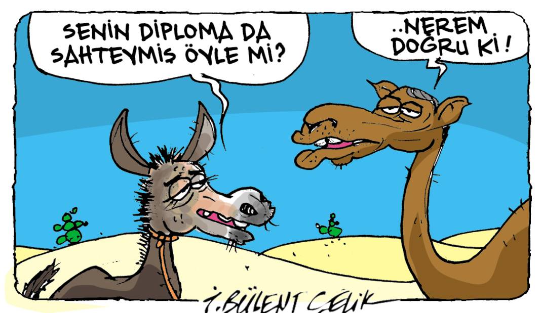İ. Bülent Çelik'in 11 Ağustos 2025 tarihli karikatürü 1