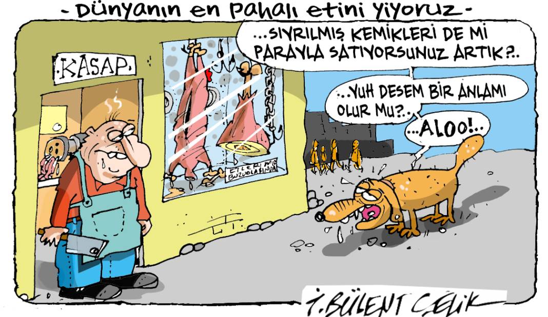 İ. Bülent Çelik'in 29 Ağustos 2025 tarihli karikatürü 1