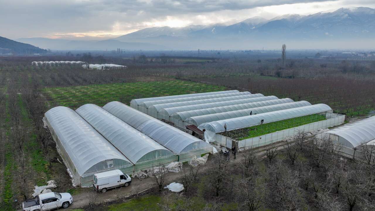 Bursa'da lodos seraları vurdu 2
