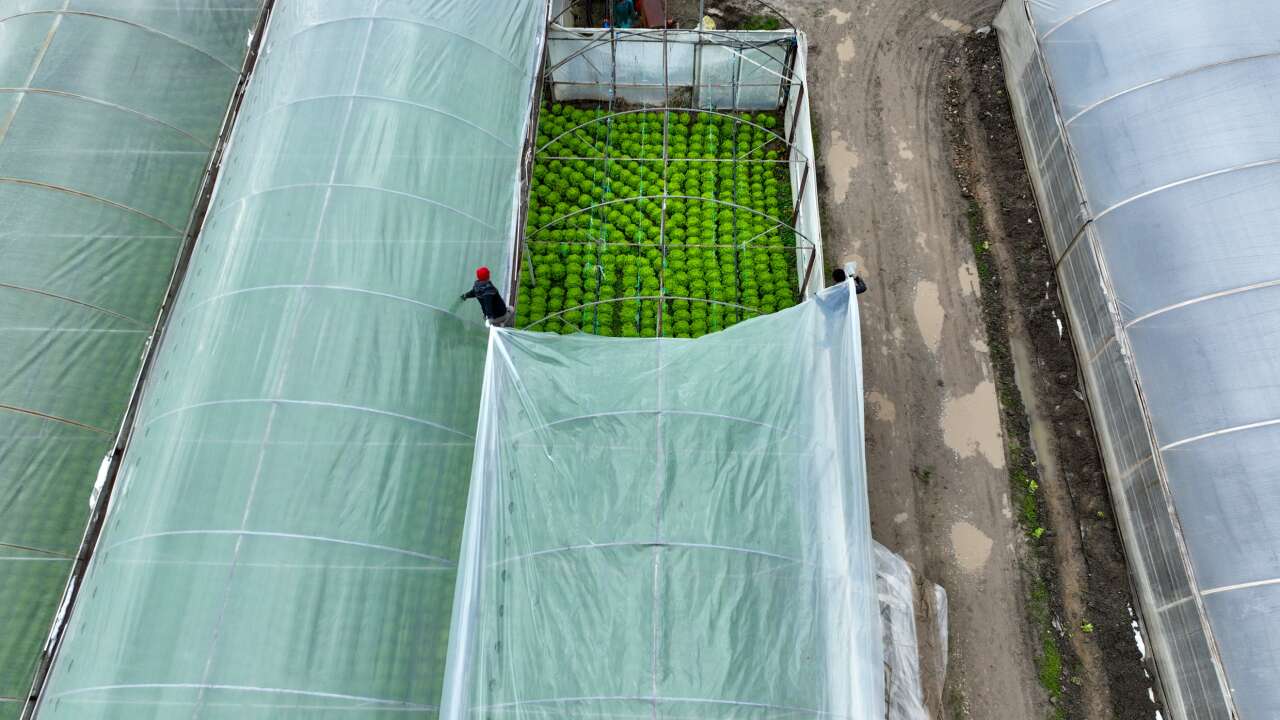 Bursa'da lodos seraları vurdu 4