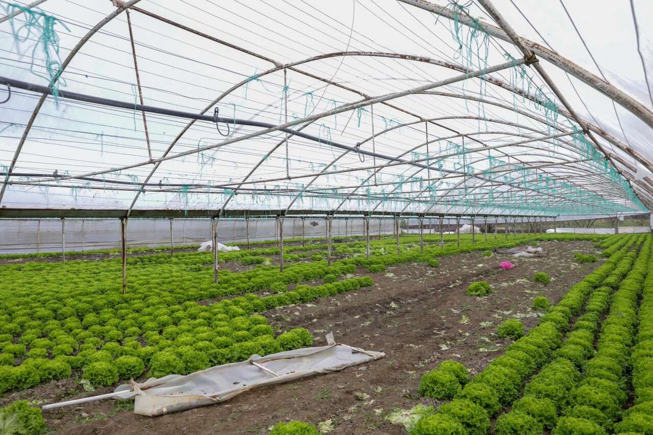 Bursa'da lodos seraları vurdu 1