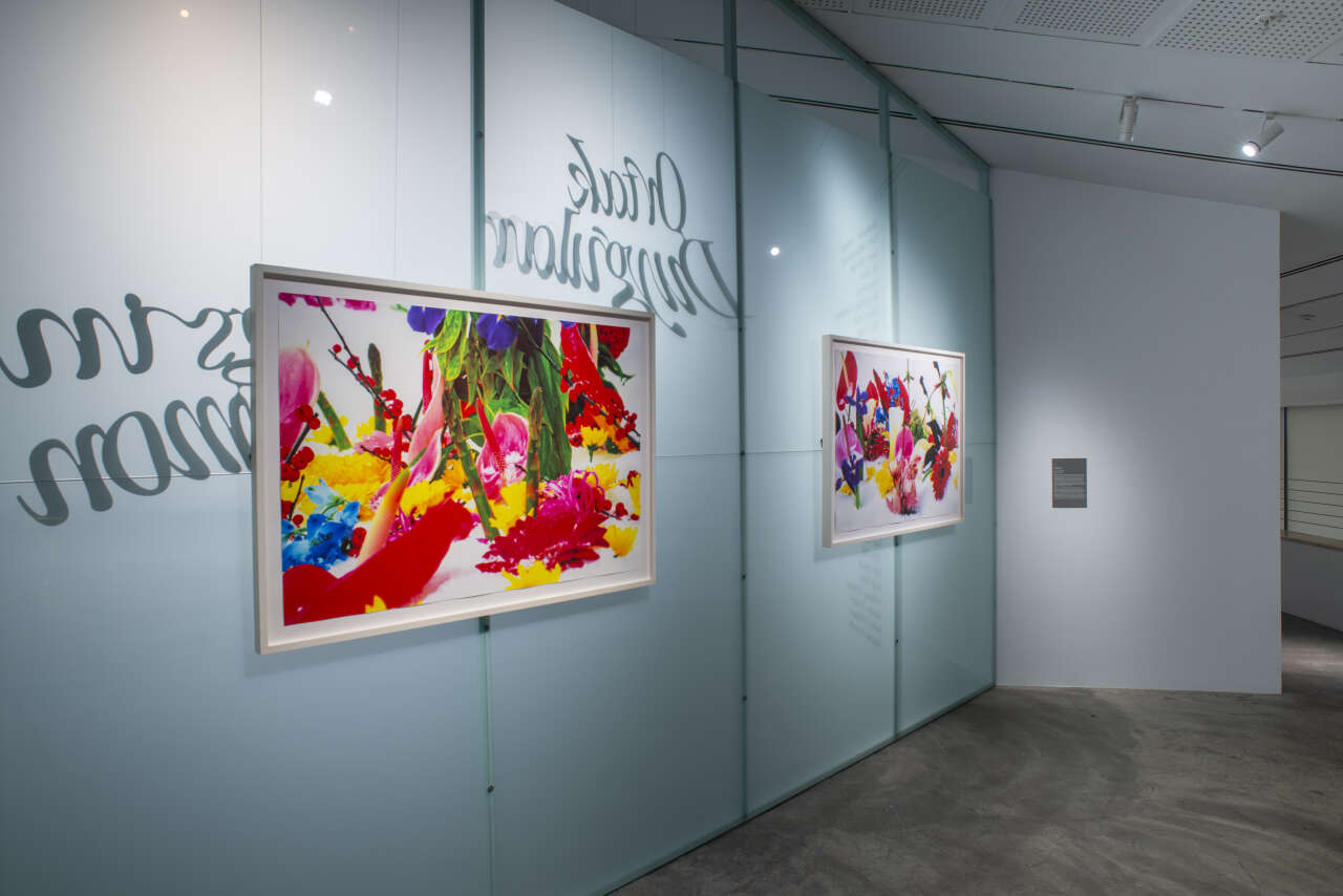 Pera Müzesi’nde iki sergi için son haftalar 6